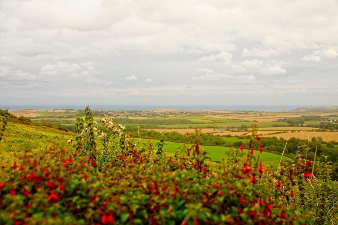 Spangle Cottage, Borrowby Farm Cottages Стейтс Екстер'єр фото